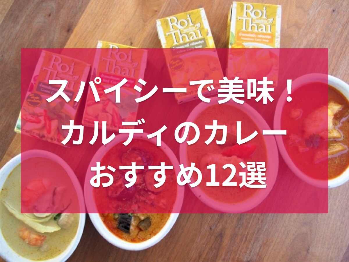 78％以上節約 ギータ ジャルフレージ スパイシーカレー 辛口