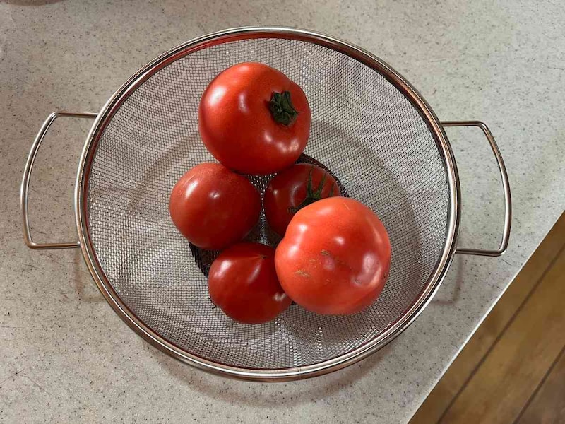 セリアの「取っ手付ステンレスザル」はトマトも余裕をもって入るサイズ