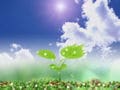 ６つのルールでグッスリ眠る！刺激制御療法
