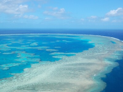 世界最大のサンゴ礁「グレートバリアリーフ」
