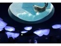 大阪・海遊館に「新・体感エリア」がオープン