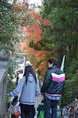 本殿と二の鳥居を結ぶ階段を包む秋の紅葉