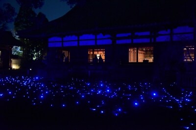 多数の青色LEDの光を用いた芸術的なライトアップ