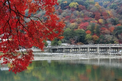 「渡月橋」と紅葉の嵐山