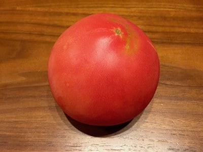 komatsu tomato