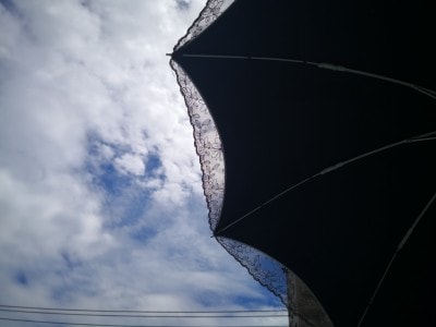 晴雨兼用　リーベンのひんやり傘