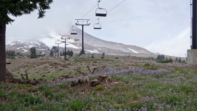 mthood