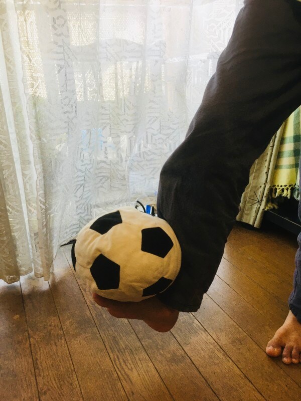トイザらスの アニマルアレイ ぬいぐるみサッカーボール でおうち時間に楽々練習 イチオシ