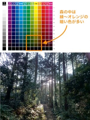 登山道は、グリーン~オレンジ系の暗い色が多い