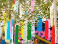 【7月行事・歳時記】七夕・海の日・土用の丑…風物詩や行事食まとめ