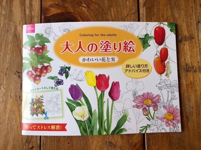 100均ダイソー 大人の塗り絵 がスゴイ 子どもも楽しめるおすすめ21年版 イチオシ