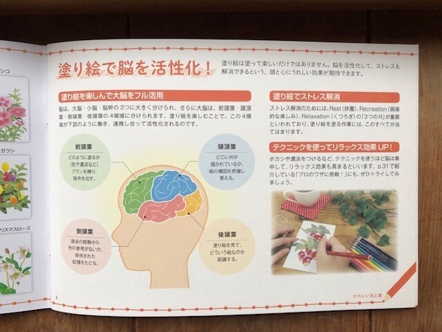 100均ダイソー 大人の塗り絵 がスゴイ 子どもも楽しめるおすすめ21年版 イチオシ