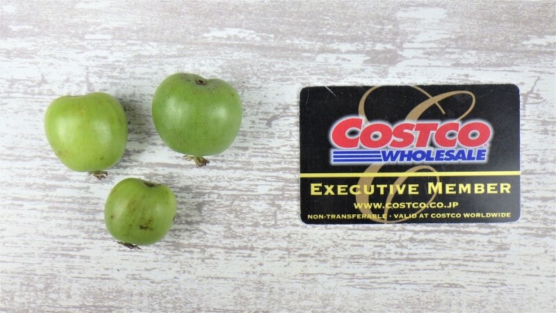 コストコの ベビーキウイ は期間限定販売のレアフルーツ イチオシ