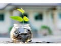定期預金に1年間、50万円を預けたら利息はいくら？