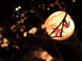 長月・紅葉月・菊開月… 9月の和風月名・異称・別名の読み方と意味