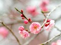 【時候の挨拶・例文付き】12カ月の季節の挨拶と結び文、やわらかい表現からビジネス向けまで