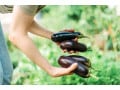 手間はかかるけれど心が豊かになる！お金に愛される人の“趣味”とは？