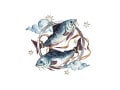 「うお座（魚座）」2025年7月14日～7月20日の運勢！ 章月綾乃の【大人のための星占い】