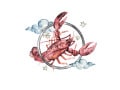 「かに座（蟹座）」2025年8月18日～8月24日の運勢！ 章月綾乃の【大人のための星占い】