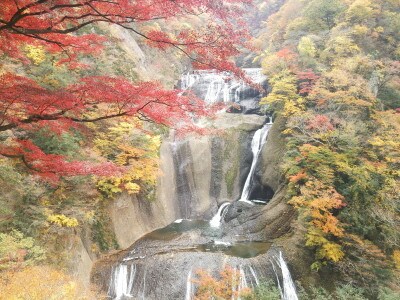 袋田の滝の紅葉・黄葉