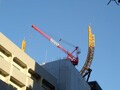 ドン・キホーテ六本木店絶叫マシン建設計画断念！